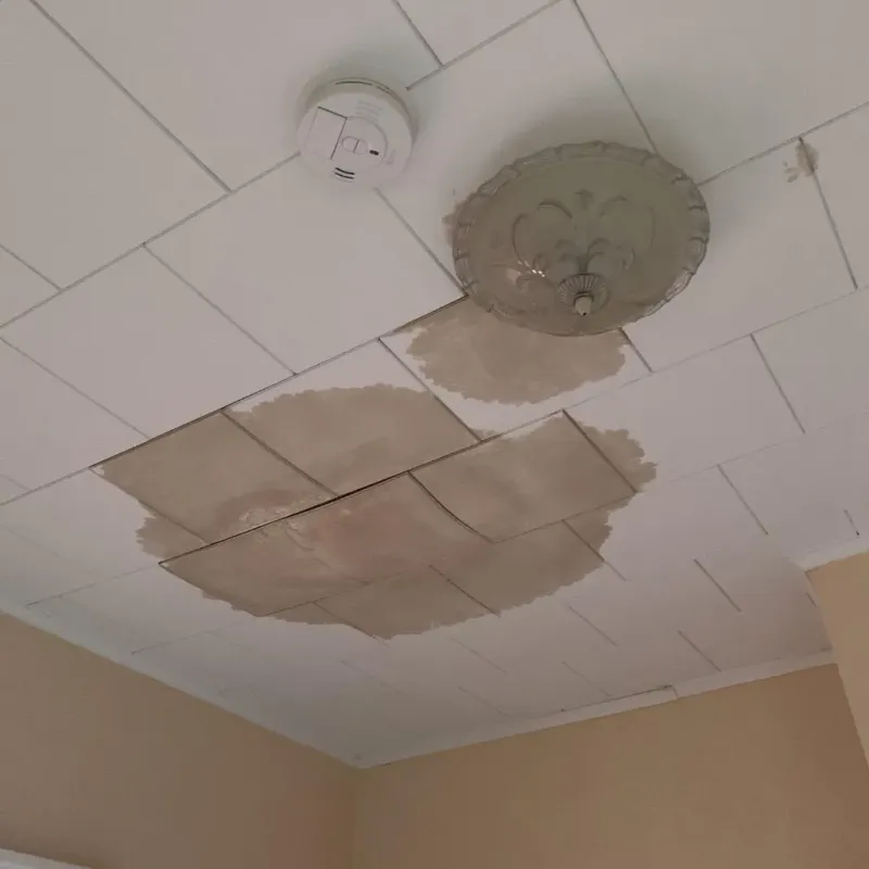 Ceiling Water Damage Repair in Kenyon, MN